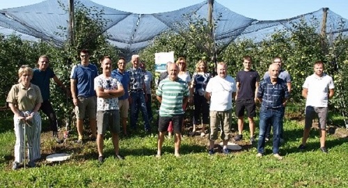 Strukovno obrazovanje međimurskih proizvođača jabuka u suvremenim nasadima