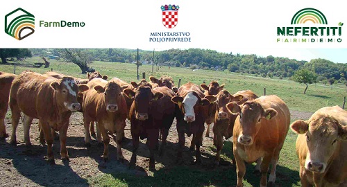 HUB 3: POZIV NA DEMO – DOGAĐAJ – BARANJA