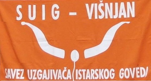 Savez uzgajivača istarskog goveda – temelj rada na očuvanju autohtonog istarskog goveda