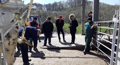 USPJEŠNO ODRŽANE DVIJE DEMONSTRACIJE ZA STOČARE U VIROVITIČKO-PODRAVSKOJ ŽUPANIJI
