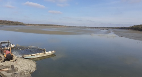 DRŽAVNA POTPORA ZA ŠTETE OD RAZNIH VRSTA PTICA I OSTALIH ŽIVOTINJA NA ŠARANSKIM RIBNJACIMA