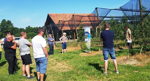 MOGUĆNOSTI UTJECAJA NA DIFERENCIJACIJU I RAZVOJ CVJETNIH PUPOVA KOD JABUKE