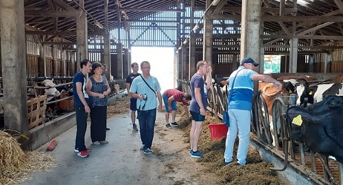 Usporedbe hranjive vrijednosti sadržaja krme proizvedene na gospodarstvu Tkalčec