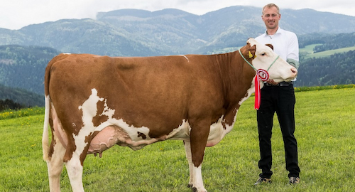 KAKO TO RADE NAJBOLJI