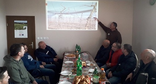 Utjecaj pravilne rezidbe i pravilne gnojidbe na postizanje visokih uroda i povećanja udjela prve klase plodova